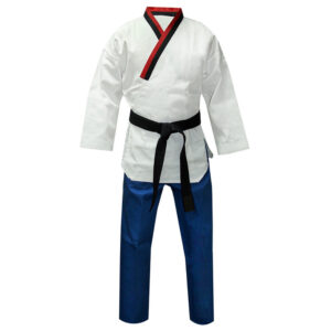 White And Blue Taekwondo Gi
