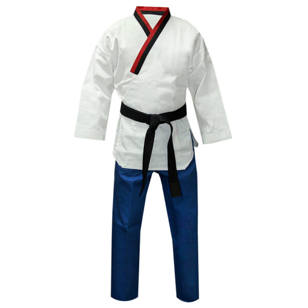 White And Blue Taekwondo Gi